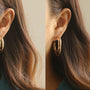 Gold-plated earrings earrings